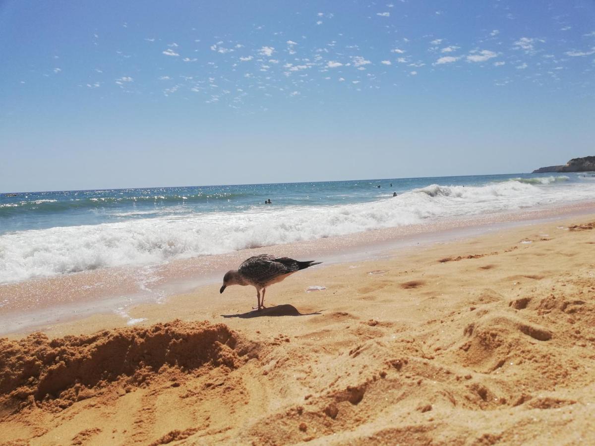 Apartamento Do Algarve Armação de Pêra Εξωτερικό φωτογραφία