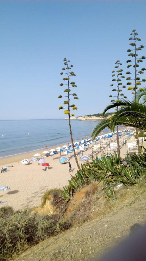 Apartamento Do Algarve Armação de Pêra Εξωτερικό φωτογραφία